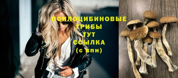 гашиш Белокуриха