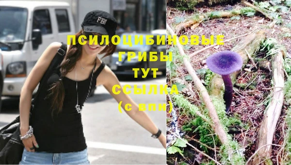 гашиш Белокуриха